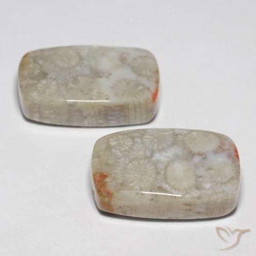 Gemas de Coral fósil Multicolor natural de 23.76 ct, Forma Cojín, Opaco