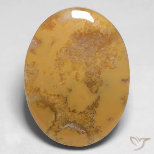 Coral fósil Multicolor natural de 12.65 ct, Ovalada, Opaco