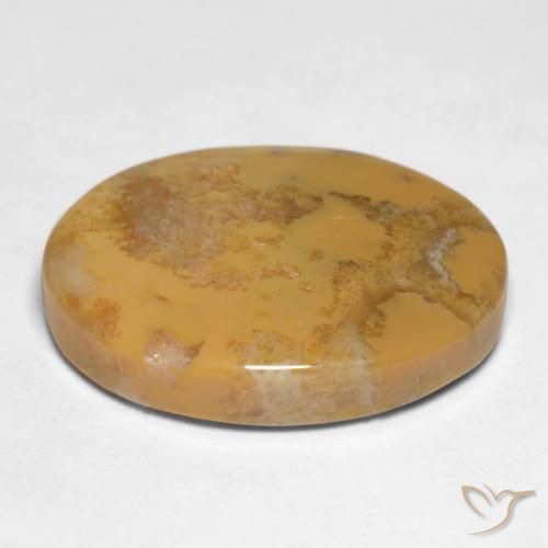 Coral fósil Multicolor natural de 12.65 ct, Ovalada, Opaco