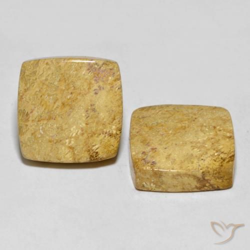 Gemas de Coral fósil Multicolor natural de 30.55 ct, Forma Cojín, Opaco