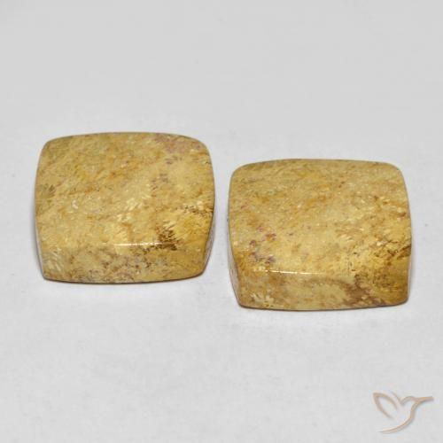 Gemas de Coral fósil Multicolor natural de 30.55 ct, Forma Cojín, Opaco