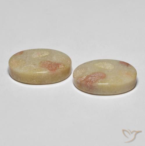 Gemas de Coral fósil Multicolor natural de 23.37 ct, Ovalada, Opaco