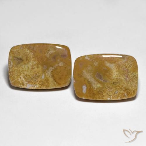 27.23ctw Natural Multicolor Coral fósil, Forma Cojín, Opaco
