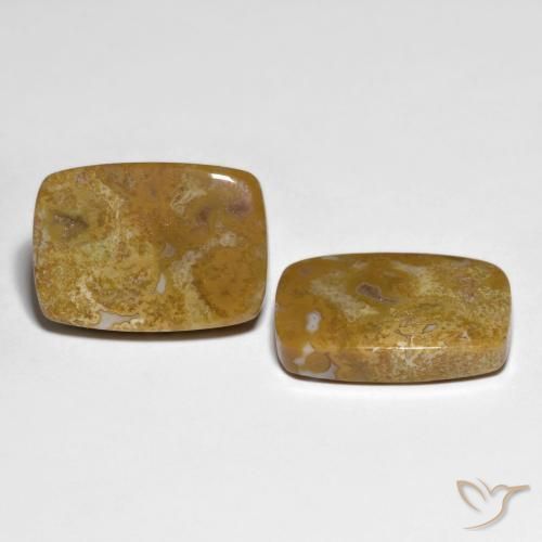 Gemas de Coral fósil Multicolor natural de 27.23 ct, Forma Cojín, Opaco