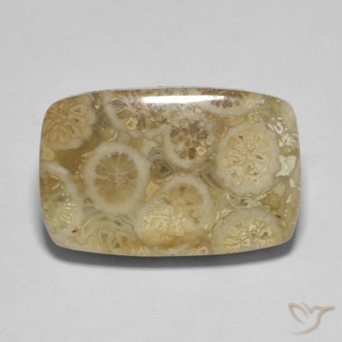 9.53ct Natural Multicolor Coral fósil, Forma Cojín, Opaco