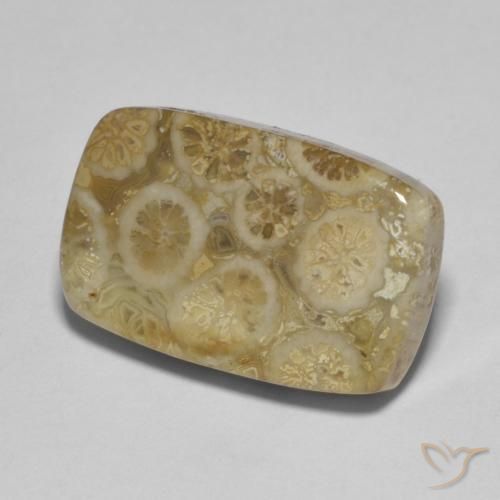 Coral fósil Multicolor natural de 9.53 ct, Forma Cojín, Opaco