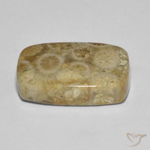 Coral fósil Multicolor natural de 9.53 ct, Forma Cojín, Opaco