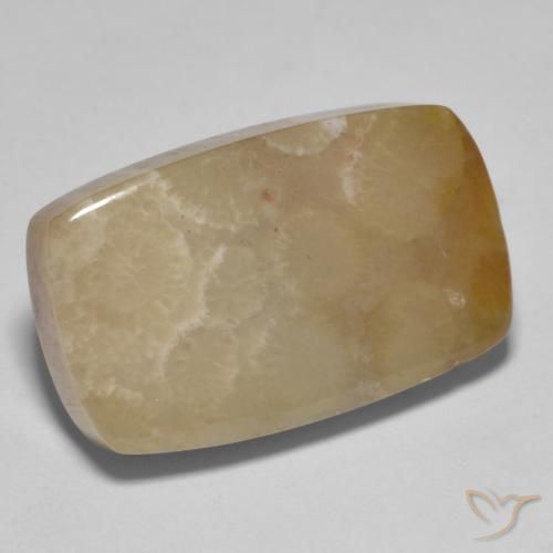 Coral fósil Multicolor natural de 16.72 ct, Forma Cojín, Opaco