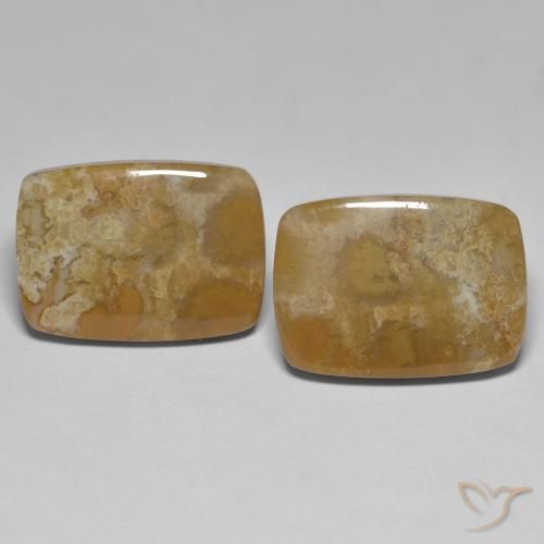 25.23ctw Natural Multicolor Coral fósil, Forma Cojín, Opaco