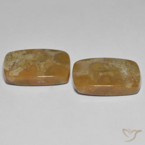 Gemas de Coral fósil Multicolor natural de 25.23 ct, Forma Cojín, Opaco
