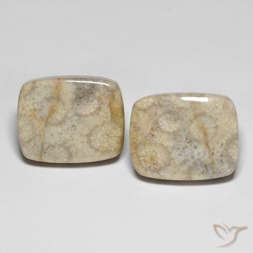 31.90ctw Natural Multicolor Coral fósil, Forma Cojín, Opaco
