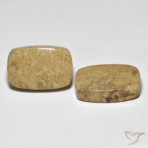 Gemas de Coral fósil Multicolor natural de 23.12 ct, Forma Cojín, Opaco