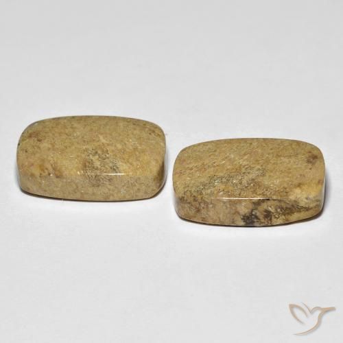Gemas de Coral fósil Multicolor natural de 23.12 ct, Forma Cojín, Opaco