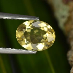 Berilo dorado amarillo natural de 1,22 ct, corte óvalo, VVS-VS