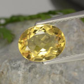 Berilo dorado amarillo natural de 1,52 ct, corte óvalo, VVS-VS