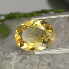 Berilo dorado amarillo natural de 1,52 ct, corte óvalo, VVS-VS