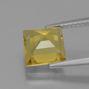 Berilo Dorado Dorado amarillo natural de 1.98 ct, Cuadrado, VVS-VS