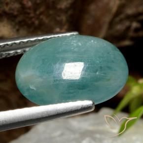 Grandidierita Verde azul natural de 4.11 ct, Ovalada, Translúcido