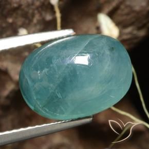 Grandidierita Verde azul oscuro-medio natural de 6.02 ct, Ovalada, Translúcido