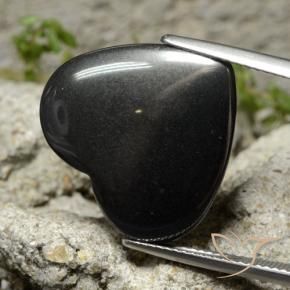Hematites Gris negro natural de 23.41 ct, Corazón, Opaco