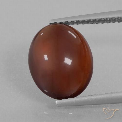 5.35ct Natural Marrón cálido Granate Hessonita, Ovalada, Translúcido