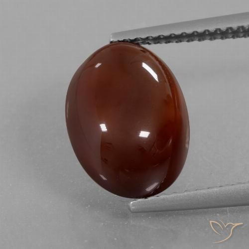 6.21ct Natural Marrón oscuro medio Granate Hessonita, Ovalada, Translúcido