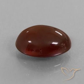 granate hessonita Marrón oscuro medio natural de 6.21 ct, Ovalada, Translúcido