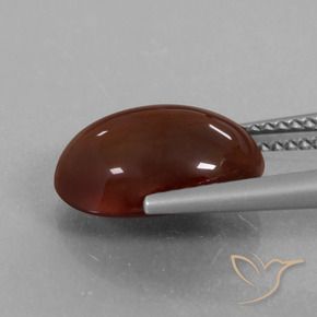 granate hessonita Marrón oscuro medio natural de 6.21 ct, Ovalada, Translúcido