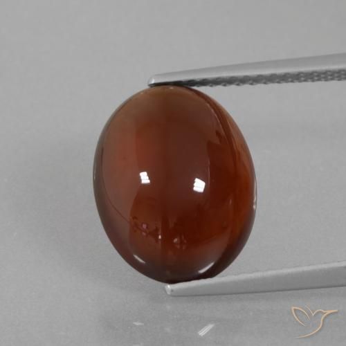 6.90ct Natural Marrón oscuro medio Granate Hessonita, Ovalada, Translúcido