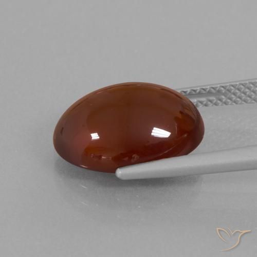 granate hessonita Marrón oscuro medio natural de 6.90 ct, Ovalada, Translúcido