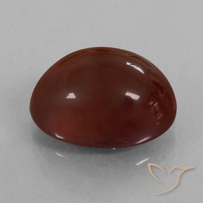 granate hessonita Marrón nuez natural de 8.34 ct, Ovalada, Translúcido