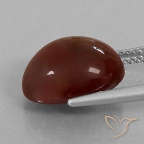 granate hessonita Marrón nuez natural de 8.34 ct, Ovalada, Translúcido