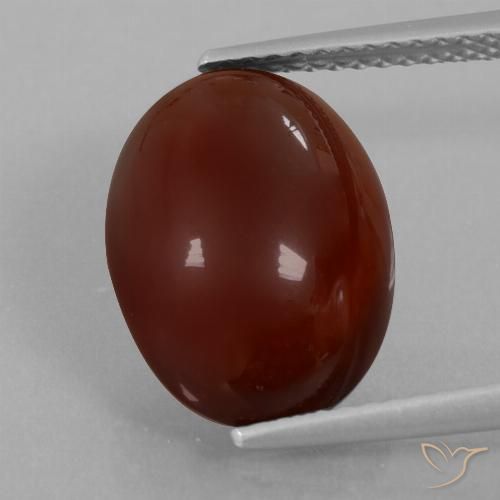 7.07ct Natural Marrón nuez Granate Hessonita, Ovalada, Translúcido