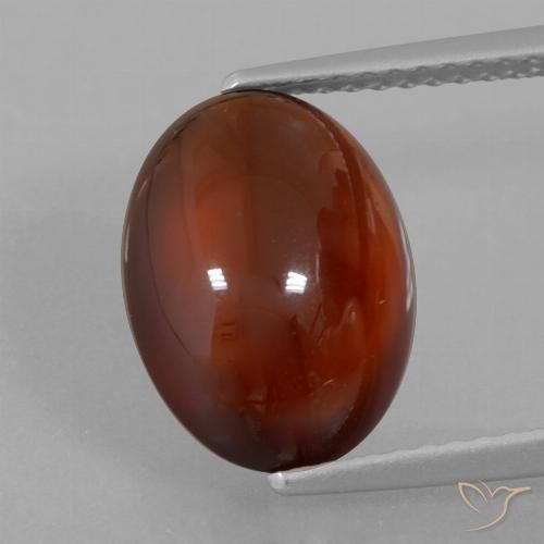 5.27ct Natural Marrón nuez Granate Hessonita, Ovalada, Translúcido