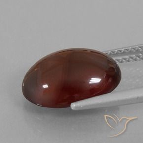granate hessonita Marrón nuez natural de 5.27 ct, Ovalada, Translúcido