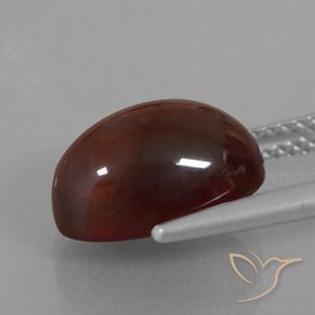 granate hessonita Marrón nuez natural de 5.80 ct, Ovalada, Translúcido