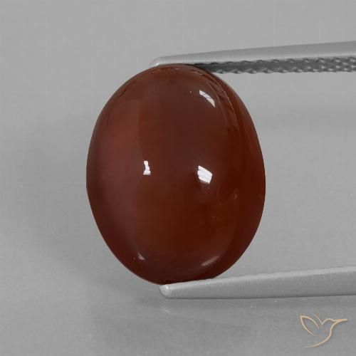 7.55ct Natural Marrón nuez Granate Hessonita, Ovalada, Translúcido