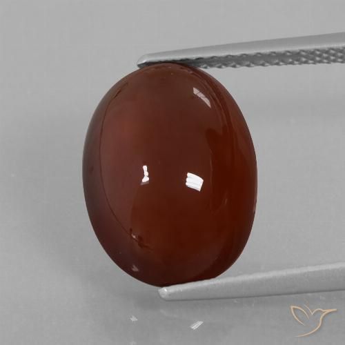 7.29ct Natural Marrón oscuro medio Granate Hessonita, Ovalada, Translúcido