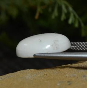 Howlita blanco natural de 8,33 ct, corte óvalo, opaco