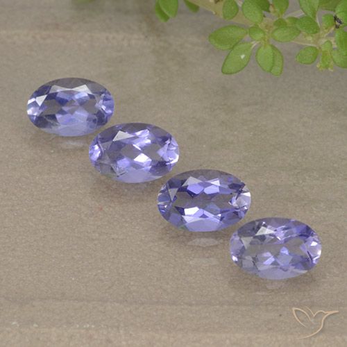Gemas de iolita Violeta claro medio natural de 1.56 ct, Corte Óvalo, VVS-VS
