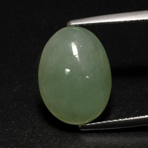 Jadeíta verde natural de 7,63 ct, transparente, transparente / translúcido