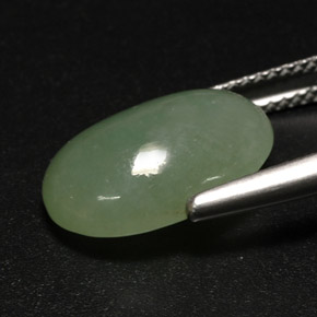 Jadeíta verde natural de 7,63 ct, transparente, transparente / translúcido