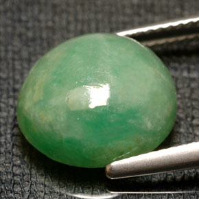 Jadeíta Verde natural de 9.74 ct, Transparente, Transparente / Translúcido