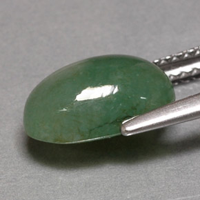 Jadeíta verde natural de 3,26 ct, transparente, transparente / translúcido