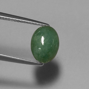 Jadeíta verde natural de 2,60 ct, corte óvalo, translúcido
