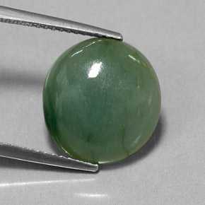 Jadeíta verde natural de 7,70 ct, transparente, transparente / translúcido