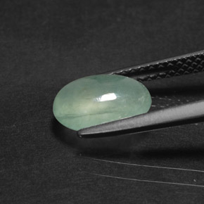 Jadeíta Verde natural de 1.68 ct, Transparente, Transparente / Translúcido
