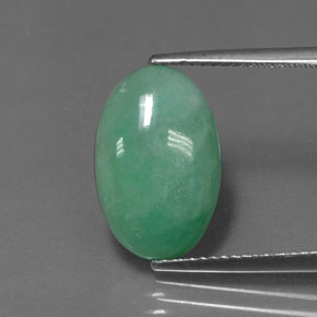 Jadeíta verde natural de 5,96 ct, corte óvalo, opaco