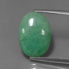 Jadeíta verde natural de 5,77 ct, corte óvalo, opaco