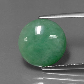 Jadeíta verde natural de 5,92 ct, corte redondo, opaco